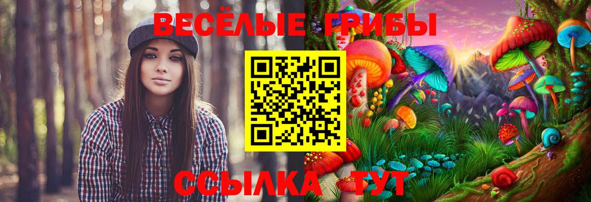 Домодедово  Галлюциногенные грибы прущие грибы  Вход с VPN  Галлюциногенные грибы мухоморы 